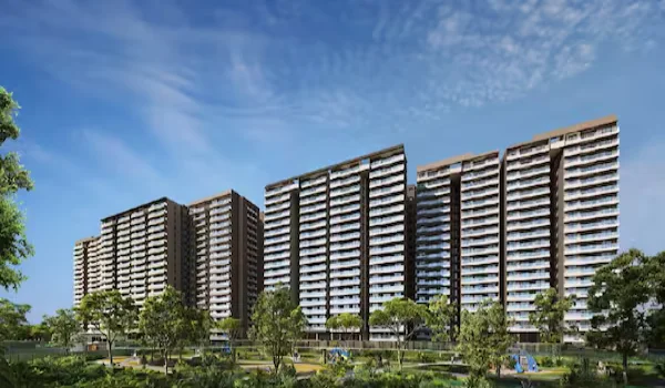 Featured Image of Educational Ecosystem Developments Surrounding the Primary Bellary Road Link